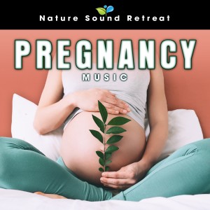 收聽Nature Sound Retreat的Mozart for Babies with Gentle Lapping Waves - Baby Brain Development Music (Loopable)歌詞歌曲
