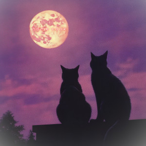 Listen to sweet and lovely song with lyrics from Home Cook