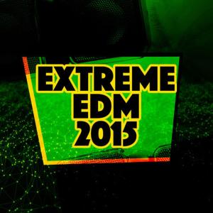 ดาวน์โหลดและฟังเพลง One by One พร้อมเนื้อเพลงจาก This Is EDM 2015