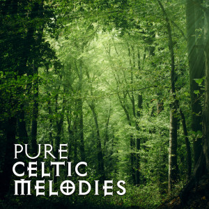 Dengarkan Into the Light lagu dari Celtic Nation dengan lirik
