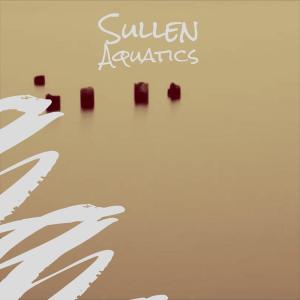 Various Artists的專輯Sullen Aquatics