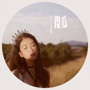 收听季彦霖的傻瓜歌词歌曲