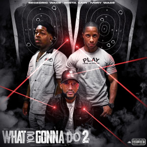 Album What You Gonna Do 2 (Explicit) from Segedric Wade