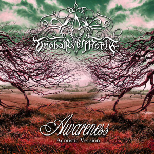 ดาวน์โหลดและฟังเพลง Awareness (Acoustic Version) พร้อมเนื้อเพลงจาก Trobar de morte