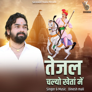 Album Tejal Chalyo Kheta Me from Dinesh Mali