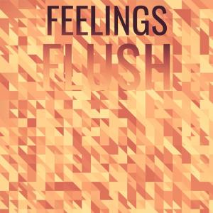 Listen to Feelings Flush song with lyrics from Deron Nory