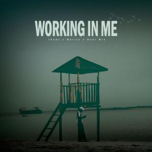 Marizu的專輯Working In Me