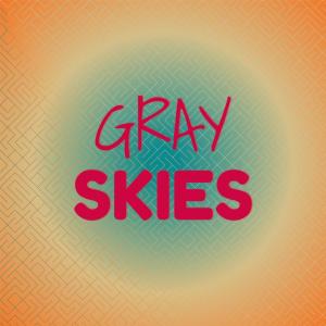 Listen to Gray Skies song with lyrics from Lindi Tiia
