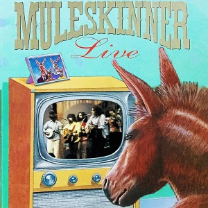 收聽Muleskinner的Knockin' on Your Door歌詞歌曲