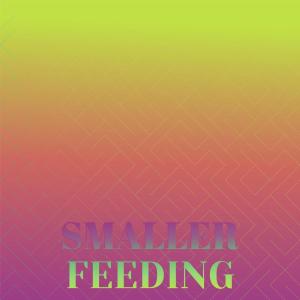 Listen to Smaller Feeding song with lyrics from Dekel Rara