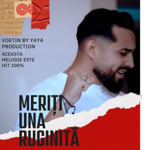 Listen to meriti una ruginita (Master Edition) song with lyrics from Voetin