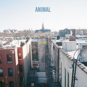 Animal的專輯The Tune (feat. Fiona Corcoran) (Explicit)