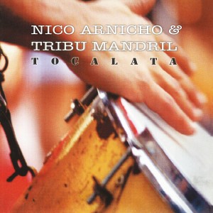 收聽Tribu Mandril的Apertura歌詞歌曲