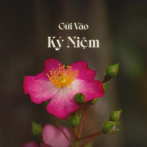 ดาวน์โหลดและฟังเพลง Gửi Vào Kỷ Niệm พร้อมเนื้อเพลงจาก Phương Nhi