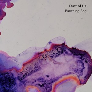 Album Punching Bag from Dust of Us