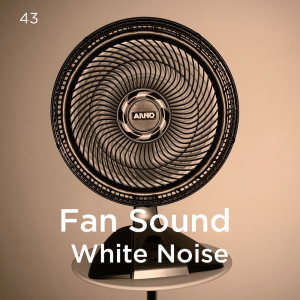 ดาวน์โหลดและฟังเพลง Wind Sound พร้อมเนื้อเพลงจาก White Noise