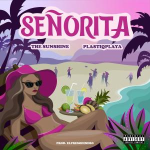 收聽The Sunshine的Señorita歌詞歌曲
