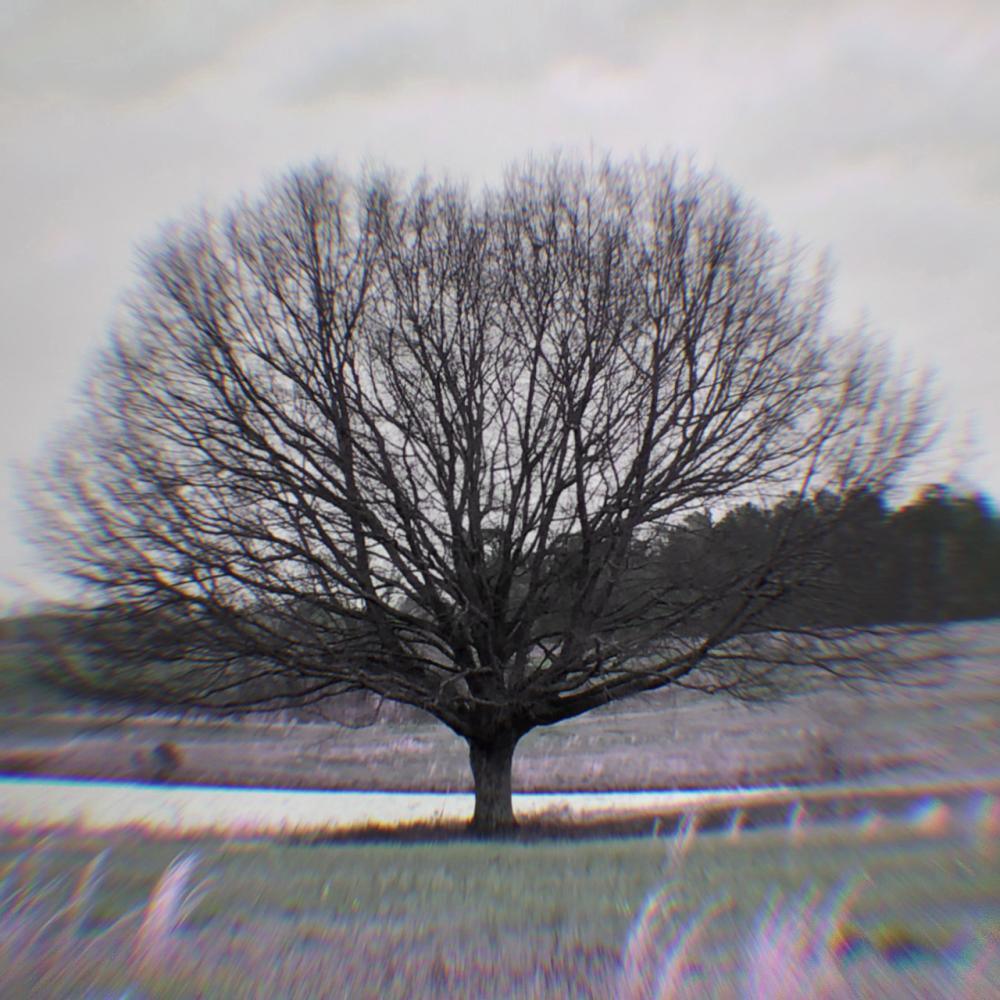 Eden (Explicit)
