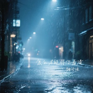 Album 怎么才能将你看清 from 