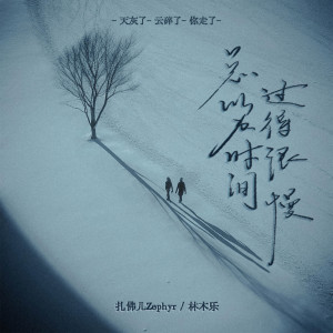 Listen to 总以为时间过得很慢 song with lyrics from 扎了阿扎