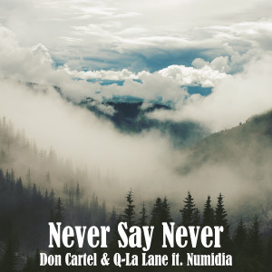 Album Never Say Never from Don cartel