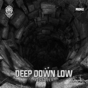 Album Deep Down Low (Explicit) from Revealer