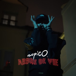 ดาวน์โหลดและฟังเพลง Arbre de vie พร้อมเนื้อเพลงจาก Sopico