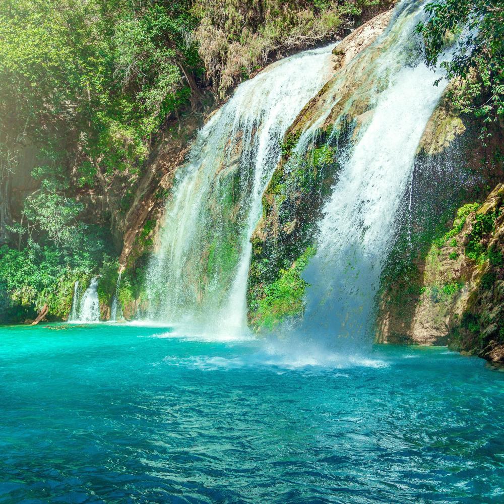 Serene Waterfall Chorus