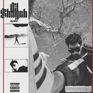 Listen to Elshayeb (Explicit) song with lyrics from Aly Emad