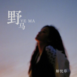 Listen to 野马 song with lyrics from 解忧草