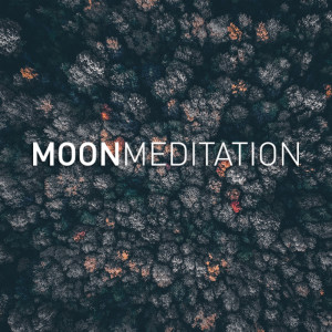 Album Cat Sleeping Music oleh Moon Tunes
