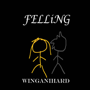 ดาวน์โหลดและฟังเพลง Fellings พร้อมเนื้อเพลงจาก winganihard