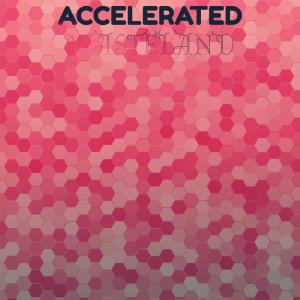 Various Artists的專輯Accelerated Wasteland