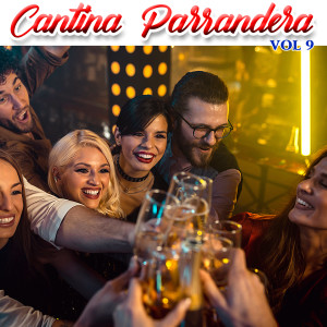 Listen to Traidora song with lyrics from Luis Eduardo El Romancero