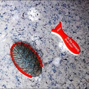 ดาวน์โหลดและฟังเพลง stim! / in the moment พร้อมเนื้อเพลงจาก Micah Callari