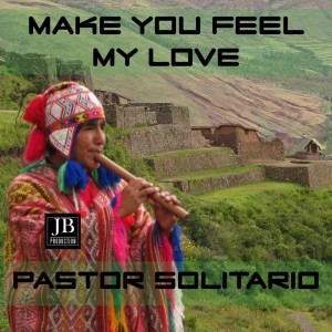 收聽Pastor Solitario的Make You Feel My Love歌詞歌曲