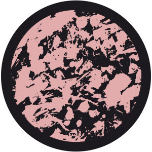 Album Kizi & The Gang : House from Various