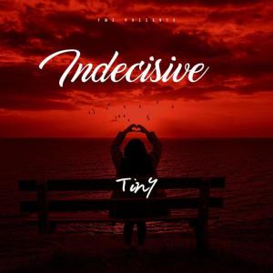 Tiny的專輯Indecisive (feat. Yung Mert)