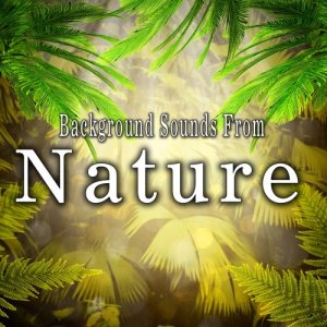 อัลบัม Background Sounds from Nature ศิลปิน The Hollywood Edge Sound Effects Library