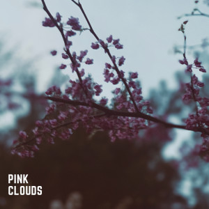 收聽Kevin Samuel的Pink Clouds (Explicit)歌詞歌曲