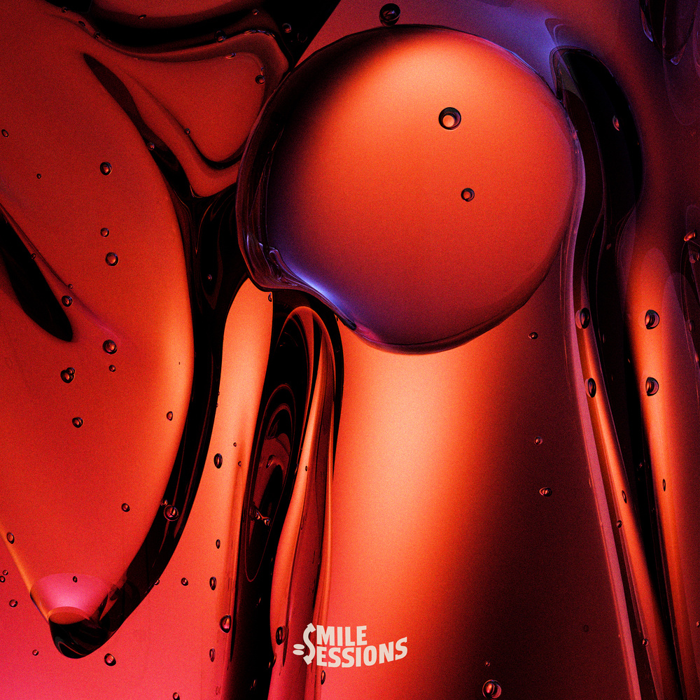 Wouldn't You Like To Be A Hoe (Mezer The Architect Remix)