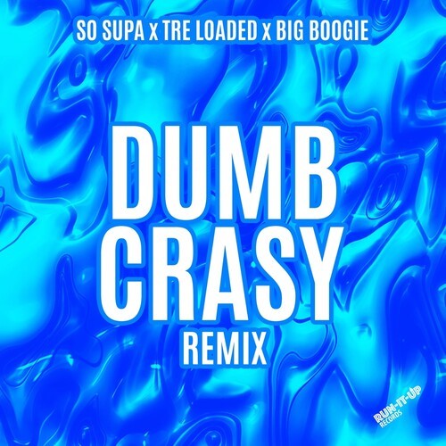 Dumb Crasy (Remix)