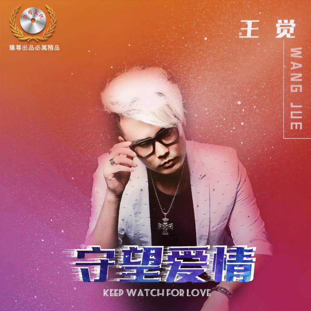守望的幸福（DJ佐罗版） (伴奏)