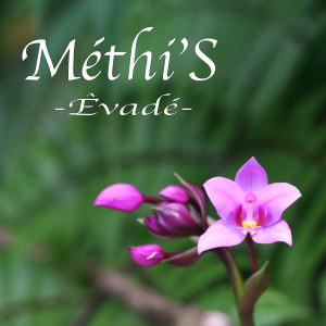 Dengarkan lagu Évadé nyanyian Methi's dengan lirik