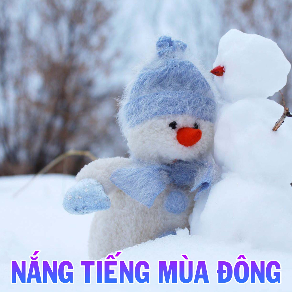 Bông hoa đỏ