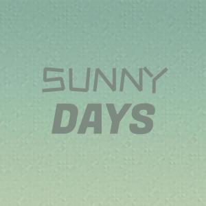 Album Sunny Days from Silvia Natiello-Spiller