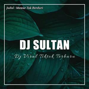 DJ Sultan的專輯Mawar Tak Berduri