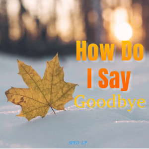 ดาวน์โหลดและฟังเพลง How Do I Say Goodbye (Sped Up) พร้อมเนื้อเพลงจาก Unanium