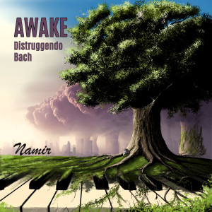 Album Awake (Distruggendo Bach) from 