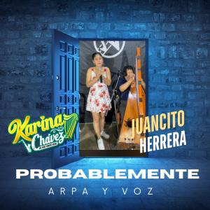 Karina Chavez的專輯PROBABLEMENTE